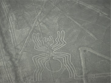 Nazca lines (22)